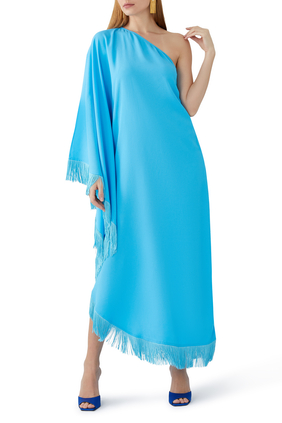 Ubud One-Shoulder Feather-Trimmed Maxi Dress